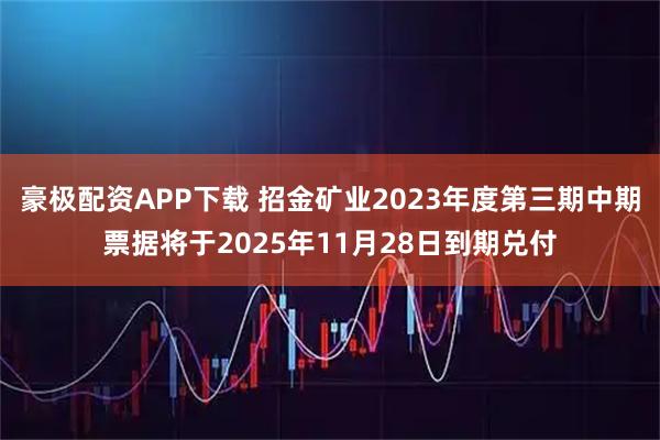 豪极配资APP下载 招金矿业2023年度第三期中期票据将于2025年11月28日到期兑付