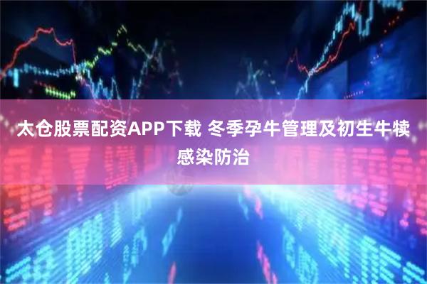 太仓股票配资APP下载 冬季孕牛管理及初生牛犊感染防治